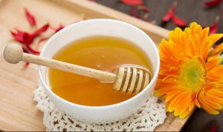哪个季节喝蜂蜜最润肺 哪个季节喝蜂蜜最润肺止咳