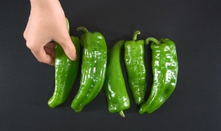 青椒是什么季节种（青椒哪个季节种）