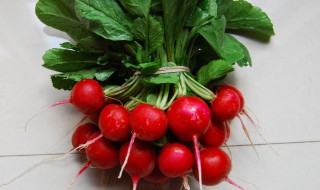 红萝卜一般什么时候开花（红萝卜什么时候间苗）