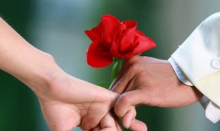 月季花和玫瑰花的相同点 月季花和玫瑰花的相同点有哪些