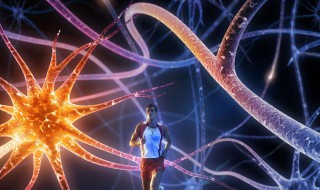 晚上学什么科目比较好 晚上学什么科目最好