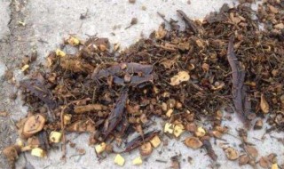 药渣为何倒在路上 药渣为什么倒在路上