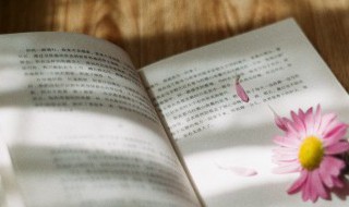 老人与海第六章主要内容概括 老人与海第六章主要内容概括50字