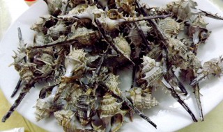 刺螺怎么清洗 刺螺怎么处理