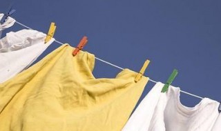 纯棉衣服掉色怎么办? 啤酒加盐能让衣服恢复颜色吗