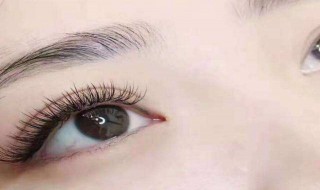 yy睫毛和开花有什么区别 yy睫毛和开花睫毛哪个好看