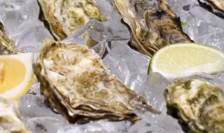 咸生蚝怎么吃（咸生蚝怎么吃才好吃）