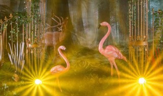 怎么用MT管理器修改i主题（mt管理器修改主题教程）