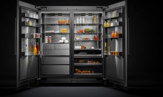 冰箱搬运放平了怎么办（冰箱平着搬运了怎么办）