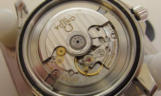 手表脏了如何清洗塑胶 手表清洗小妙招塑料