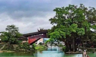 五一放假温州哪里好玩?(五一假期温州哪里好玩)