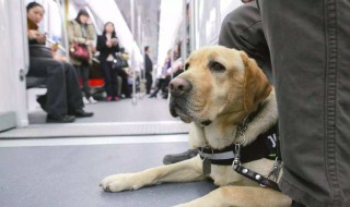 坐地铁可以带电钻吗? 坐地铁可以带电钻吗现在