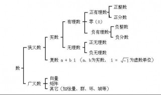 数的分类? 数的分类有哪几种