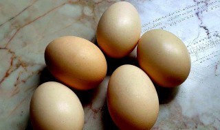 新鲜的土鸡蛋如何保存? 新鲜土鸡蛋保质期多久