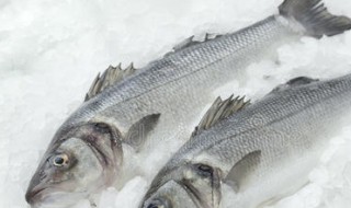 雪鱼怎么做好吃又简单（清蒸鳕鱼怎么做好吃又简单）