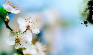 孝麻绳怎么处理（孝子麻绳怎么系）