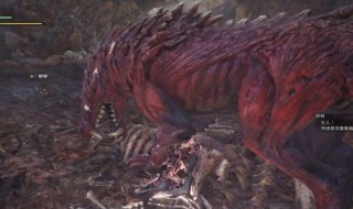 怪物猎人世界兽龙硬币怎么得（怪物猎人世界 兽龙硬币怎么获得）