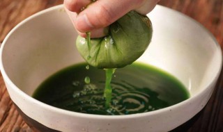 鲜艾叶放冰箱里能储存多久（新鲜艾叶放冰箱能放多久）