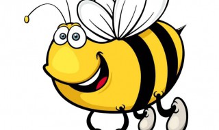 蜜蜂用蜂蜜干嘛（蜜蜂用蜂蜜干啥）