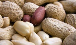 煮花生多长时间能熟（花生多久可以煮熟）