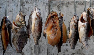 正宗腊鱼的配方 正宗腊鱼的配方大全