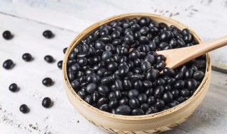 黑豆可以直接打豆浆吗(黑豆可以直接打豆浆吗怎么做)