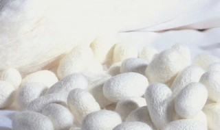 蚕丝是什么材料（人造蚕丝是什么材料）