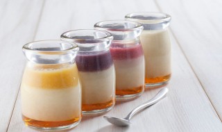 布丁和果冻口感的区别 布丁和果冻的差别