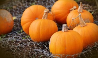 鲜蘑酿南瓜（蘑菇南瓜汤的做法）