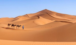 毛素乌沙漠在哪里（毛乌素沙漠简介）