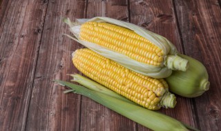 蒸玉米需要先泡水吗 蒸玉米需要先泡水吗为什么