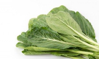 红油炒芥菜的做法 红油芥菜丝图片