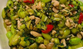 肉末炒雪菜 肉末炒雪菜的做法