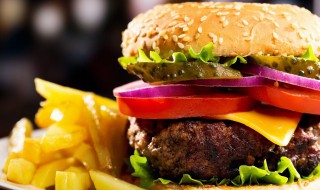 萌宠汉堡的做法（萌宠汉堡的做法和配料）