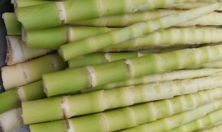 绿笋制作方法（绿笋的家常做法）