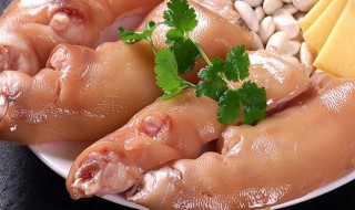 做芸豆炖猪蹄的方法（芸豆炖猪蹄的功效与作用）