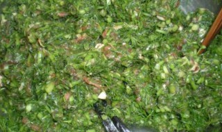 小茴香肉馅的制作方法（小茴香肉馅的制作方法视频）