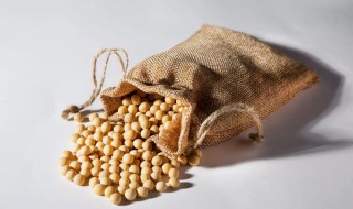 黄豆香菇猪肉酱的制作方法 黄豆香菇肉酱的做法