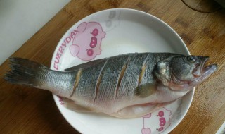 去鲈鱼腥线的方法 如何去鲈鱼鱼线