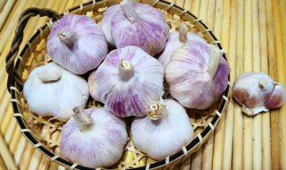 大量新蒜保存方法（新蒜的储藏方法）