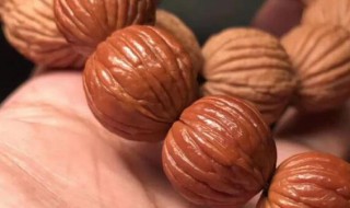 小桃核怎么挑选（小桃核怎么处理）