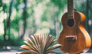 怎么挑选好吉他（怎么挑选吉他不被坑）