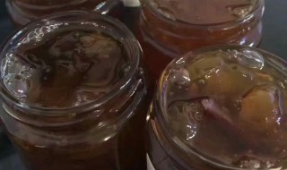 桃胶膏的做法（桃胶的做法大全 怎么做好吃）