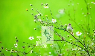 春分可以干什么（春分干什么好）