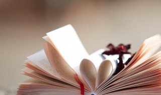 寻主是什么意思（找主什么意思?）