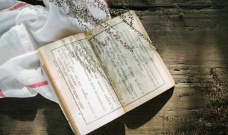 束素是什么意思 束素的意思