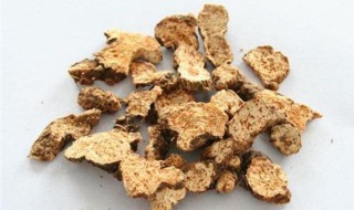 白术功效 白术功效与作用与主治