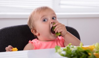 宝宝育儿知识 宝宝育儿知识软件