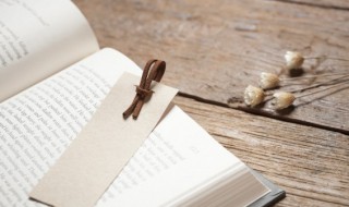 罗胜是什么意思 罗胜子什么意思