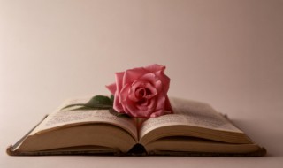 老于世故是什么意思（他是一个老于世故的人老是什么意思）